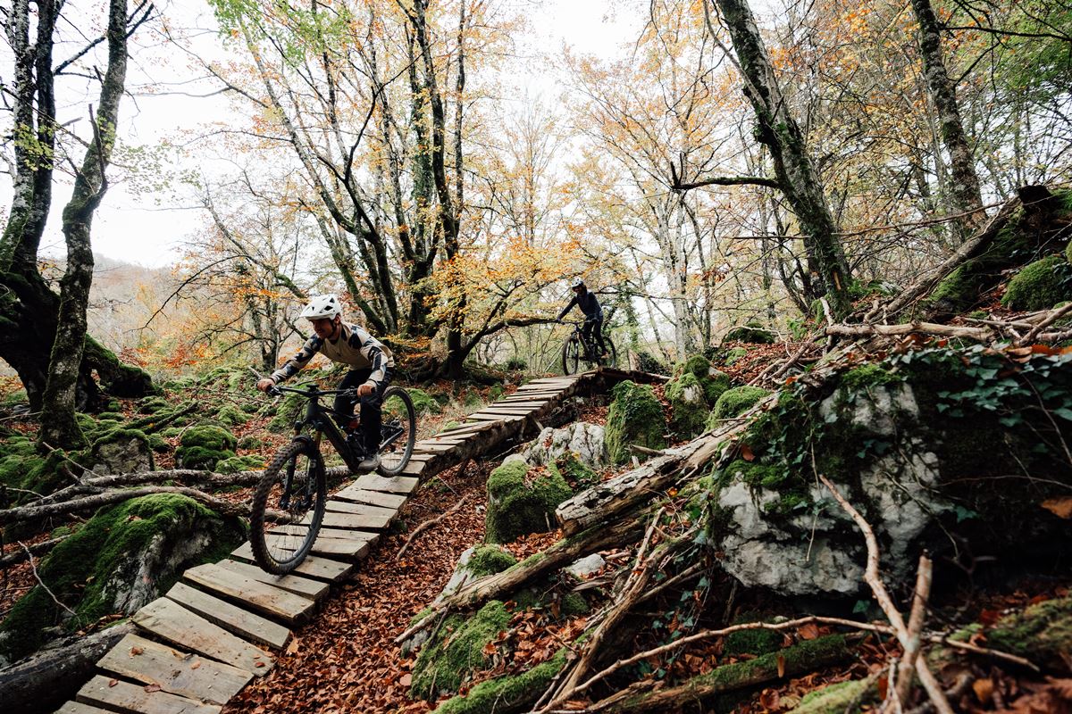 orbea trail tails
